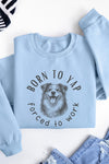 Born to Yap Sweatshirt Sky Blue