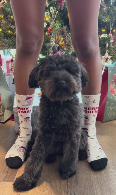"Dog" Xmas Socks - White