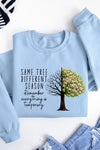 Same Tree Sweatshirt Sky Blue